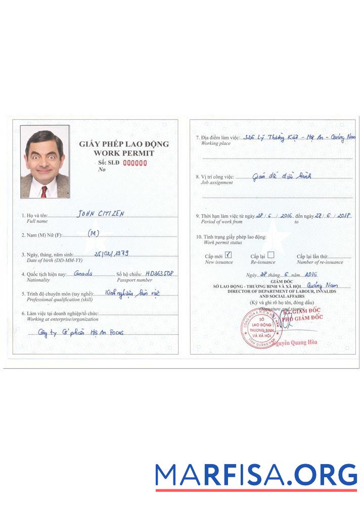 Downloadable Vietnam work permit real example